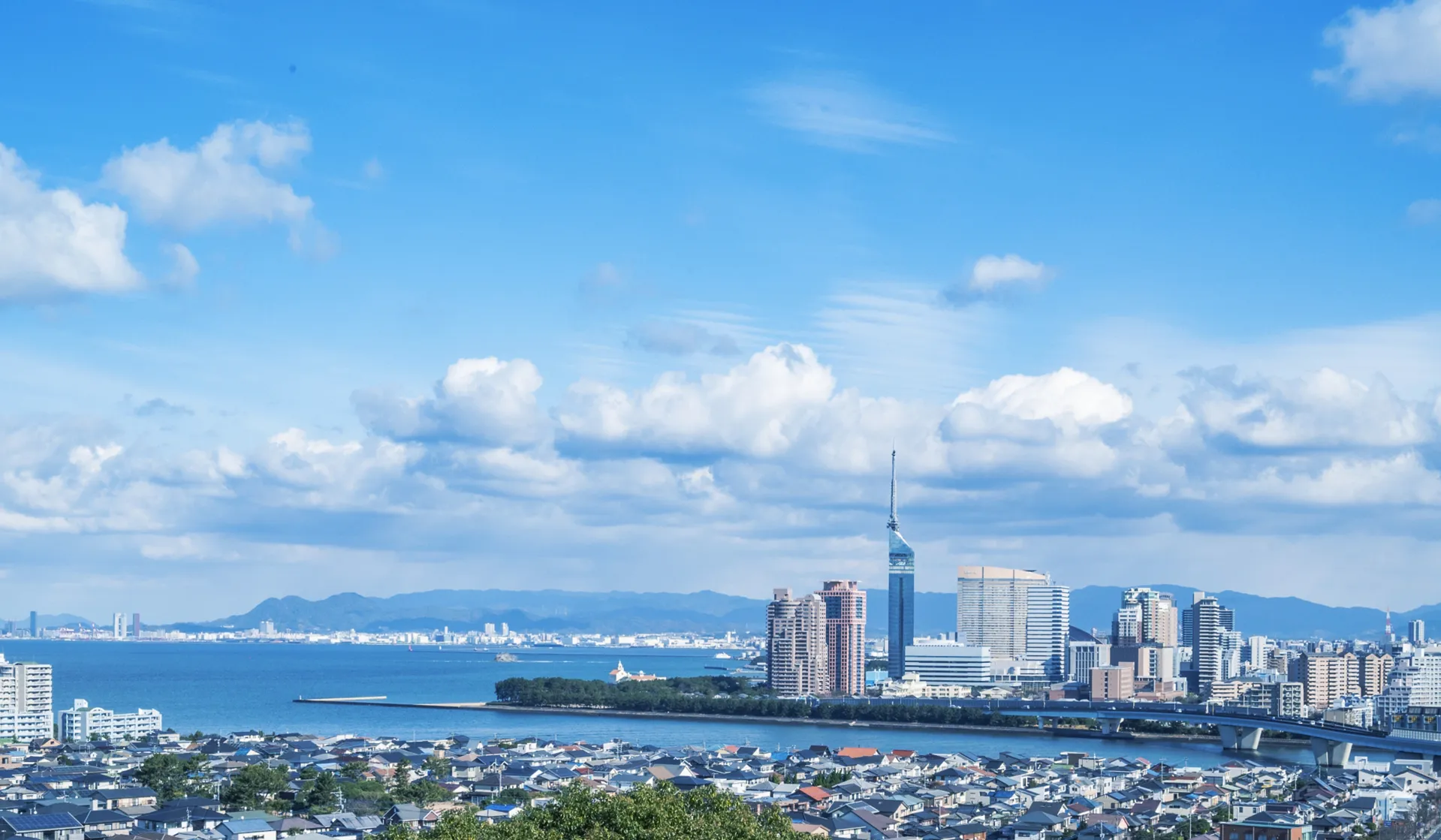 ウェブサイトをオープンいたしました。